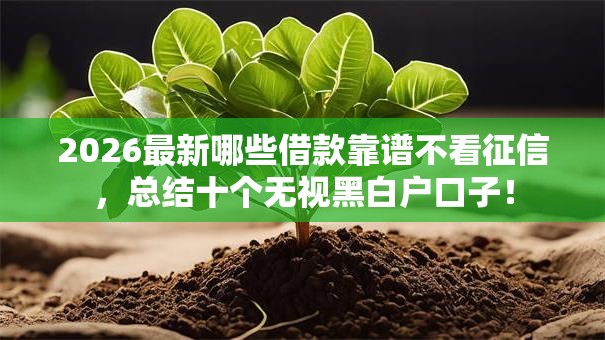 2026最新哪些借款靠谱不看征信，总结十个无视黑白户口子！