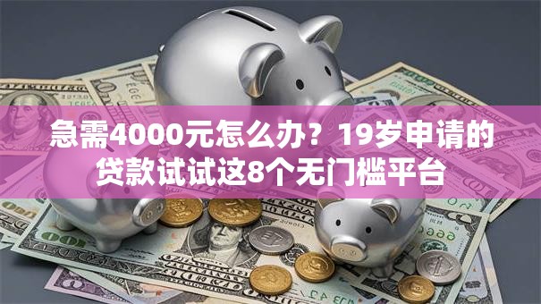 急需4000元怎么办？19岁申请的贷款试试这8个无门槛平台