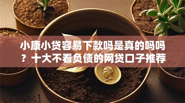 小康小贷容易下款吗是真的吗吗?十大不看负债的网贷口子推荐 小康小贷容易下款吗是真的吗吗?十大不看负债的网贷口子推荐