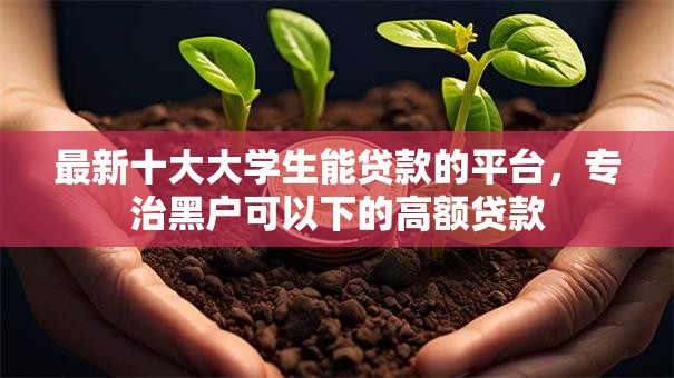最新十大大学生能贷款的平台，专治黑户可以下的高额贷款