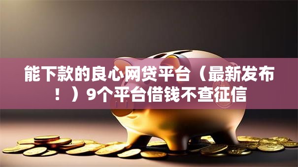 能下款的良心网贷平台（最新发布！）9个平台借钱不查征信