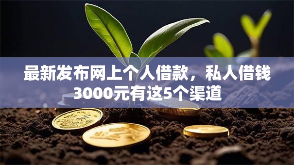 最新发布网上个人借款，私人借钱3000元有这5个渠道