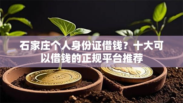 石家庄个人身份证借钱？十大可以借钱的正规平台推荐
