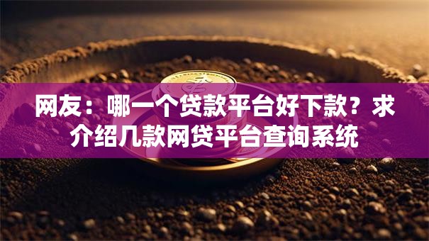 网友：哪一个贷款平台好下款？求介绍几款网贷平台查询系统