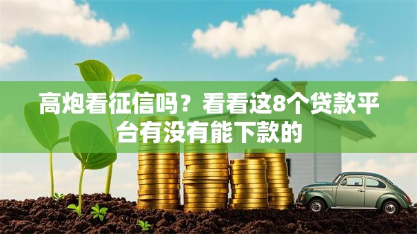高炮看征信吗？看看这8个贷款平台有没有能下款的