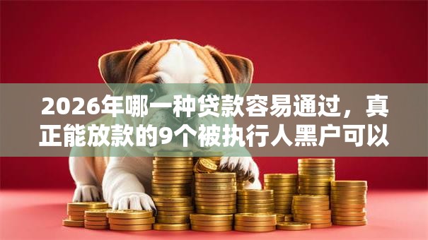 2026年哪一种贷款容易通过，真正能放款的9个被执行人黑户可以申请网贷的平台推荐