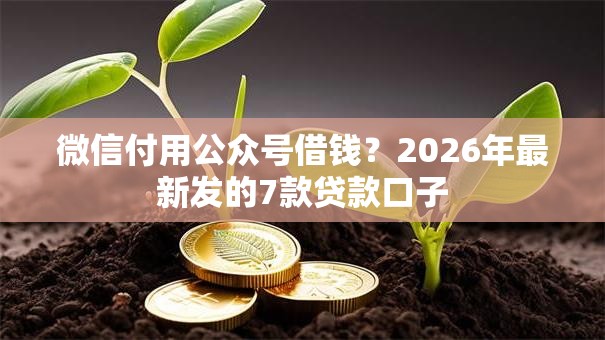 微信付用公众号借钱？2026年最新发的7款贷款口子