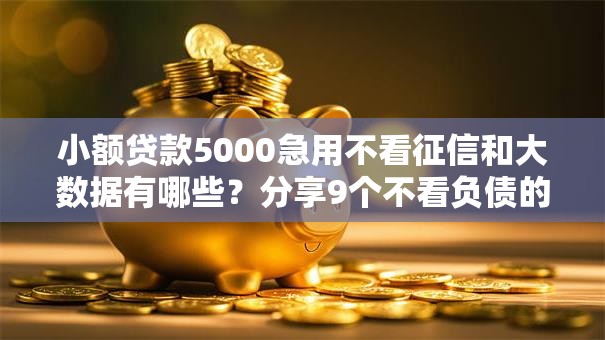 小额贷款5000急用不看征信和大数据有哪些?分享9个不看负债的网贷软件 小额贷款5000急用不看征信和大数据有哪些?分享9个不看负债的网贷软件
