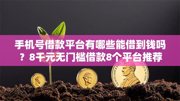 手机号借款平台有哪些能借到钱吗？8千元无门槛借款8个平台推荐