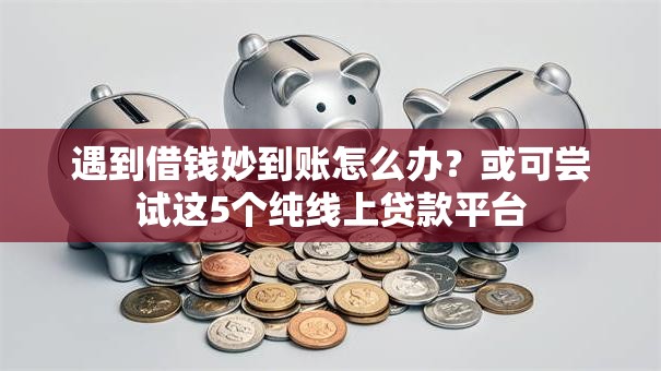 遇到借钱妙到账怎么办？或可尝试这5个纯线上贷款平台