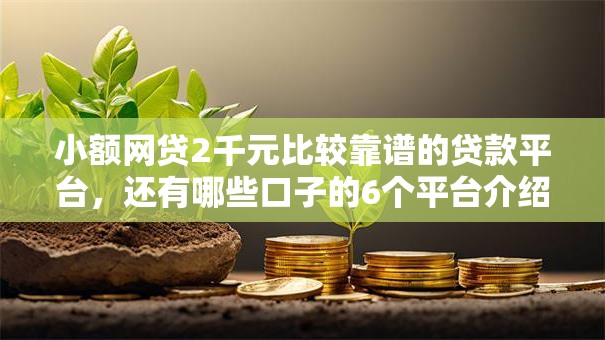 小额网贷2千元比较靠谱的贷款平台，还有哪些口子的6个平台介绍