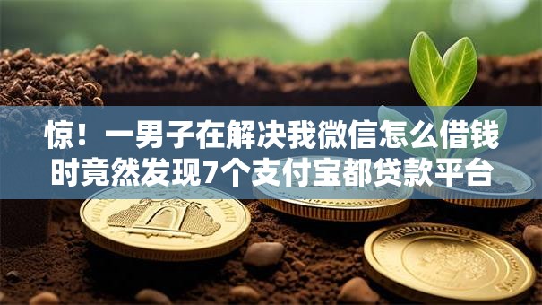 惊!一男子在解决我微信怎么借钱时竟然发现7个支付宝都贷款平台,事后分享了出来 惊!一男子在解决我微信怎么借钱时竟然发现7个支付宝都贷款平台,事后分享了出来