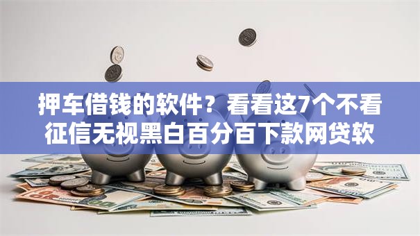 押车借钱的软件？看看这7个不看征信无视黑白百分百下款网贷软件怎么样