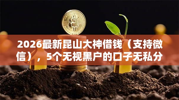 2026最新昆山大神借钱（支持微信），5个无视黑户的口子无私分享