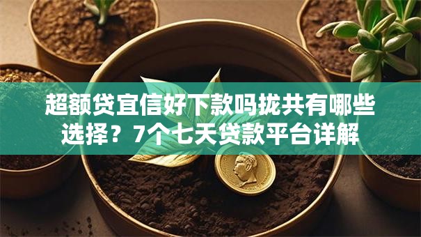 超额贷宜信好下款吗拢共有哪些选择?7个七天贷款平台详解 超额贷宜信好下款吗拢共有哪些选择?7个七天贷款平台详解