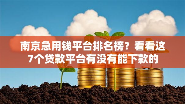南京急用钱平台排名榜？看看这7个贷款平台有没有能下款的