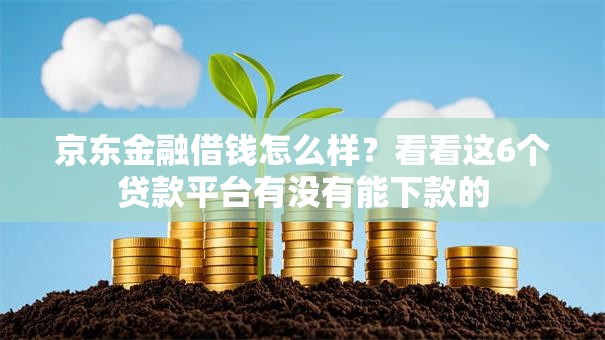 京东金融借钱怎么样？看看这6个贷款平台有没有能下款的