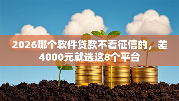 2026哪个软件贷款不看征信的，差4000元就选这8个平台