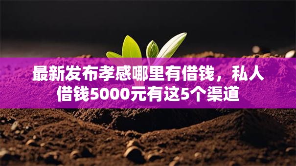 最新发布孝感哪里有借钱，私人借钱5000元有这5个渠道