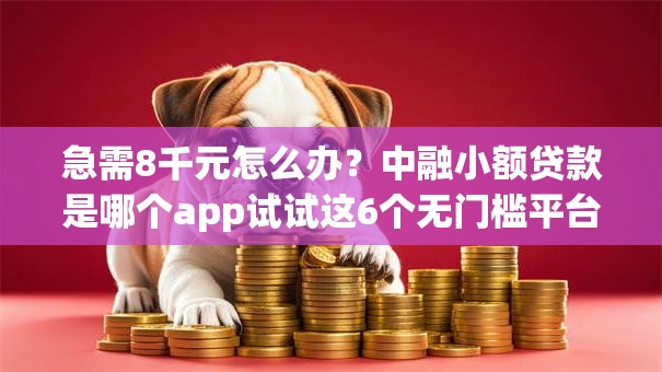 急需8千元怎么办？中融小额贷款是哪个app试试这6个无门槛平台