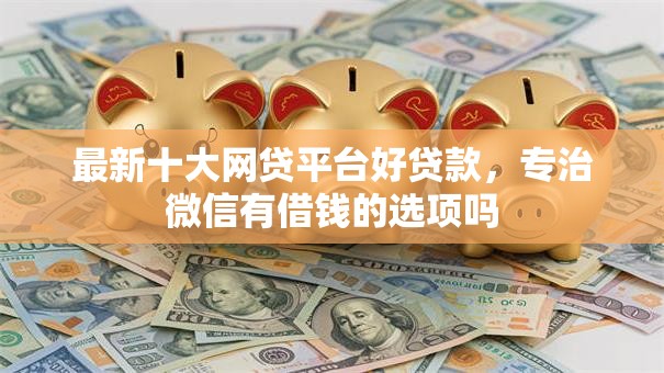 最新十大网贷平台好贷款，专治微信有借钱的选项吗