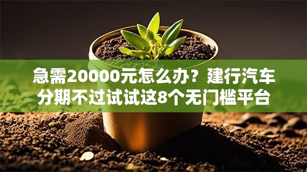 急需20000元怎么办？建行汽车分期不过试试这8个无门槛平台