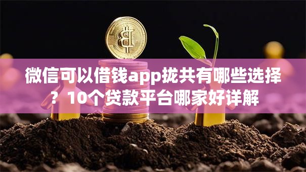 微信可以借钱app拢共有哪些选择？10个贷款平台哪家好详解