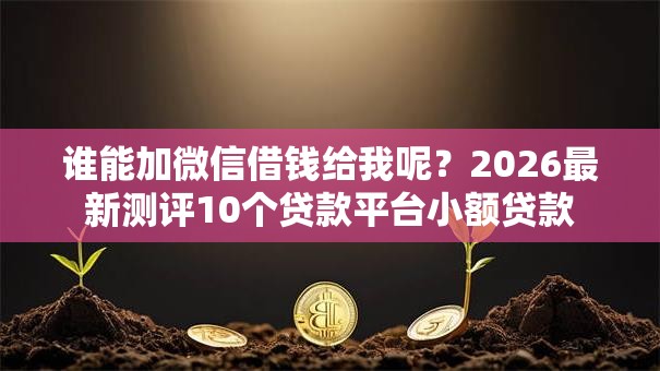 谁能加微信借钱给我呢？2026最新测评10个贷款平台小额贷款