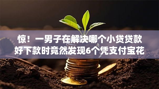 惊！一男子在解决哪个小贷贷款好下款时竟然发现6个凭支付宝花呗贷款的app，事后分享了出来