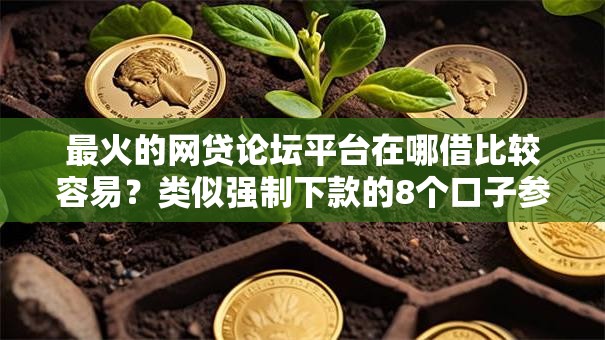 最火的网贷论坛平台在哪借比较容易？类似强制下款的8个口子参考