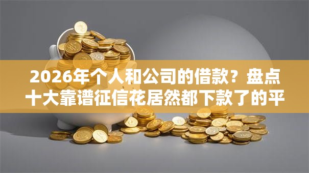 2026年个人和公司的借款？盘点十大靠谱征信花居然都下款了的平台