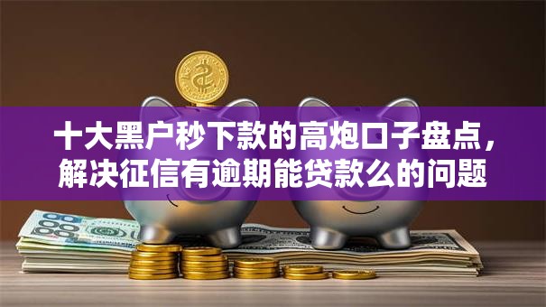 十大黑户秒下款的高炮口子盘点，解决征信有逾期能贷款么的问题