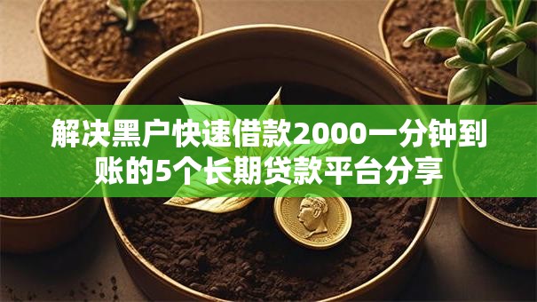 解决黑户快速借款2000一分钟到账的5个长期贷款平台分享