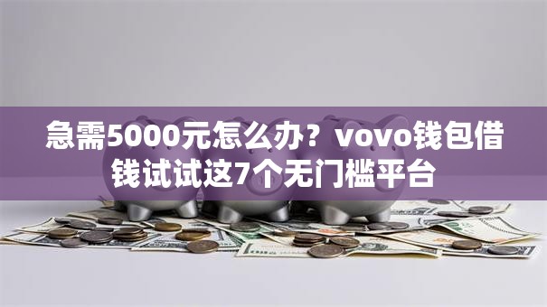 急需5000元怎么办？vovo钱包借钱试试这7个无门槛平台