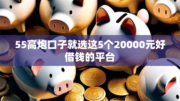 55高炮口子就选这5个20000元好借钱的平台