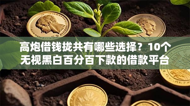 高炮借钱拢共有哪些选择？10个无视黑白百分百下款的借款平台详解