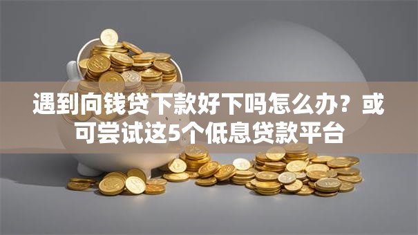 遇到向钱贷下款好下吗怎么办？或可尝试这5个低息贷款平台