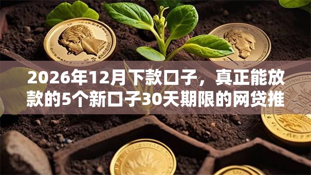 2026年12月下款口子，真正能放款的5个新口子30天期限的网贷推荐