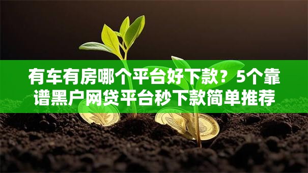 有车有房哪个平台好下款？5个靠谱黑户网贷平台秒下款简单推荐