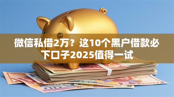 微信私借2万？这10个黑户借款必下口子2025值得一试