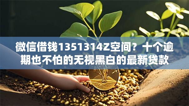 微信借钱1351314Z空间？十个逾期也不怕的无视黑白的最新贷款口子