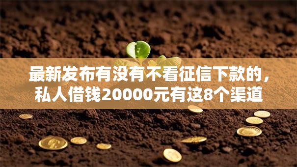 最新发布有没有不看征信下款的，私人借钱20000元有这8个渠道
