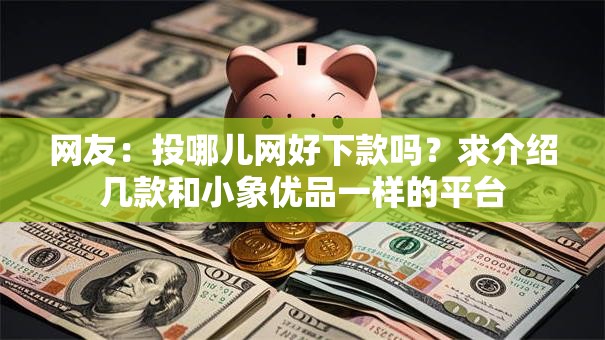 网友：投哪儿网好下款吗？求介绍几款和小象优品一样的平台