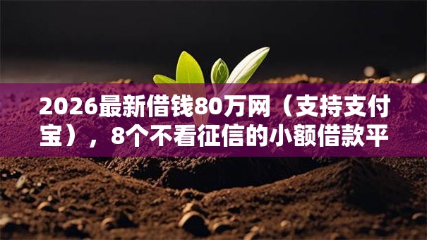 2026最新借钱80万网（支持支付宝），8个不看征信的小额借款平台无私分享
