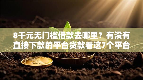 8千元无门槛借款去哪里？有没有直接下款的平台贷款看这7个平台