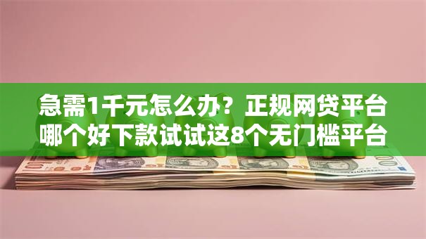 急需1千元怎么办？正规网贷平台哪个好下款试试这8个无门槛平台