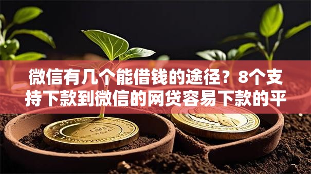 微信有几个能借钱的途径？8个支持下款到微信的网贷容易下款的平台