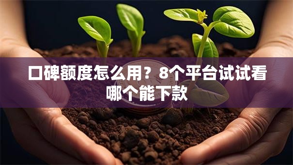 口碑额度怎么用？8个平台试试看哪个能下款