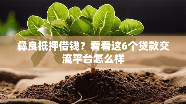 彝良抵押借钱？看看这6个贷款交流平台怎么样