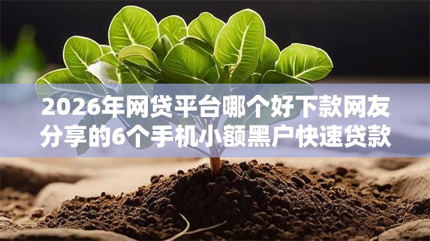 2026年网贷平台哪个好下款网友分享的6个手机小额黑户快速贷款口子我觉得不错！